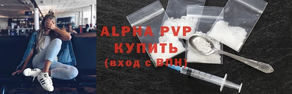 хмурый Бородино