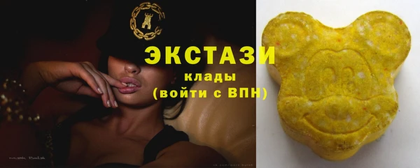 хмурый Бородино