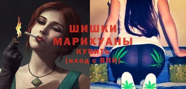 хмурый Бородино